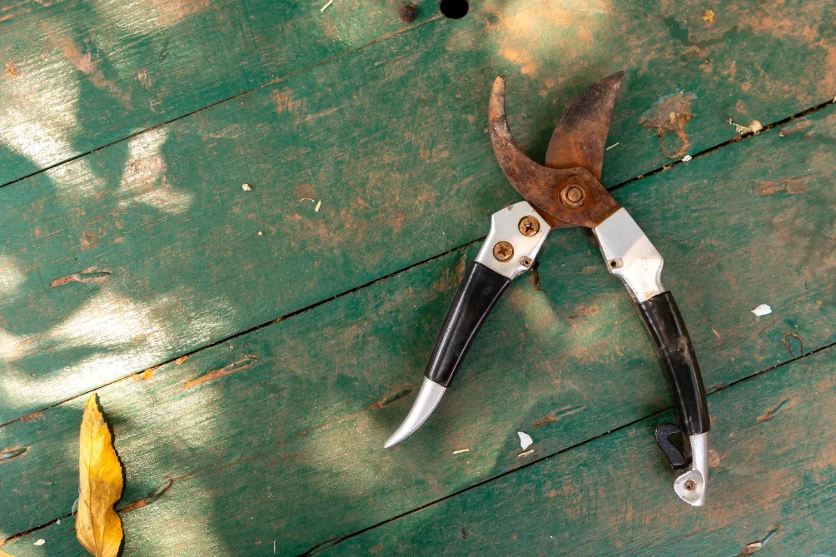 Effektive Rostentfernung für langlebige Gartengeräte