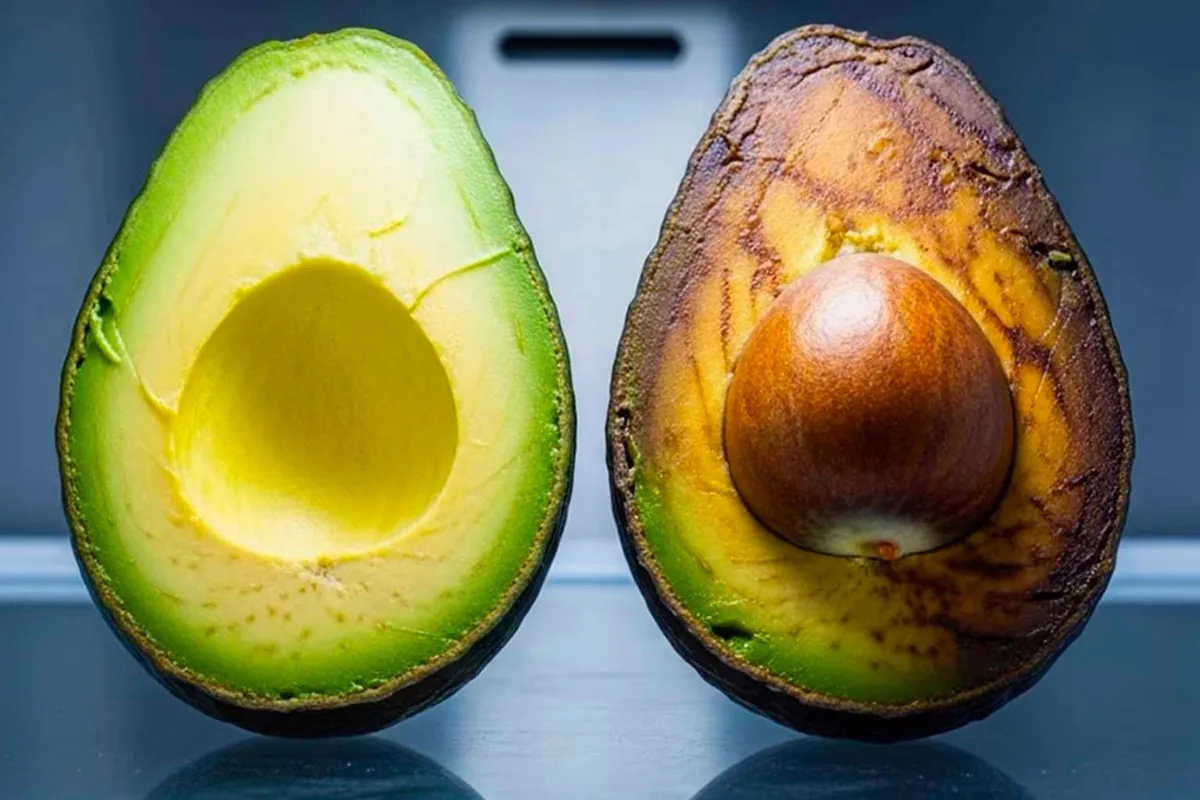 Geheimtipps, damit Avocados länger frisch bleiben: So bleiben sie grün und lecker