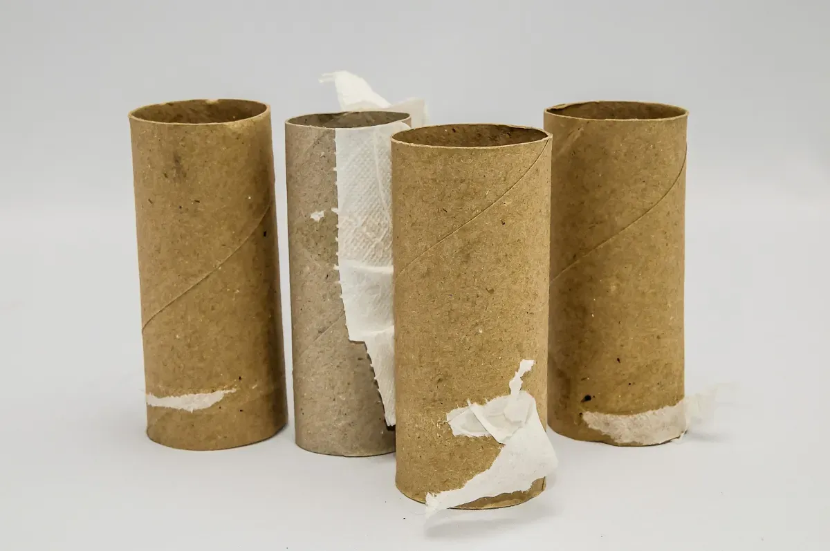 Toilettenpapierrollen: Ein überraschender Helfer im Gartenbau